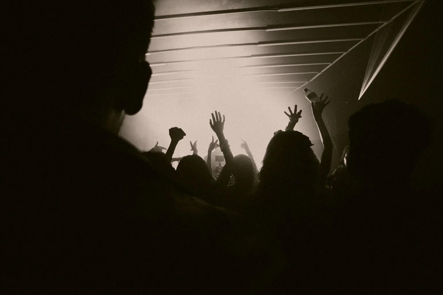 Crowd silhouettes with raised hands in a hazy venue at Project Kulture.